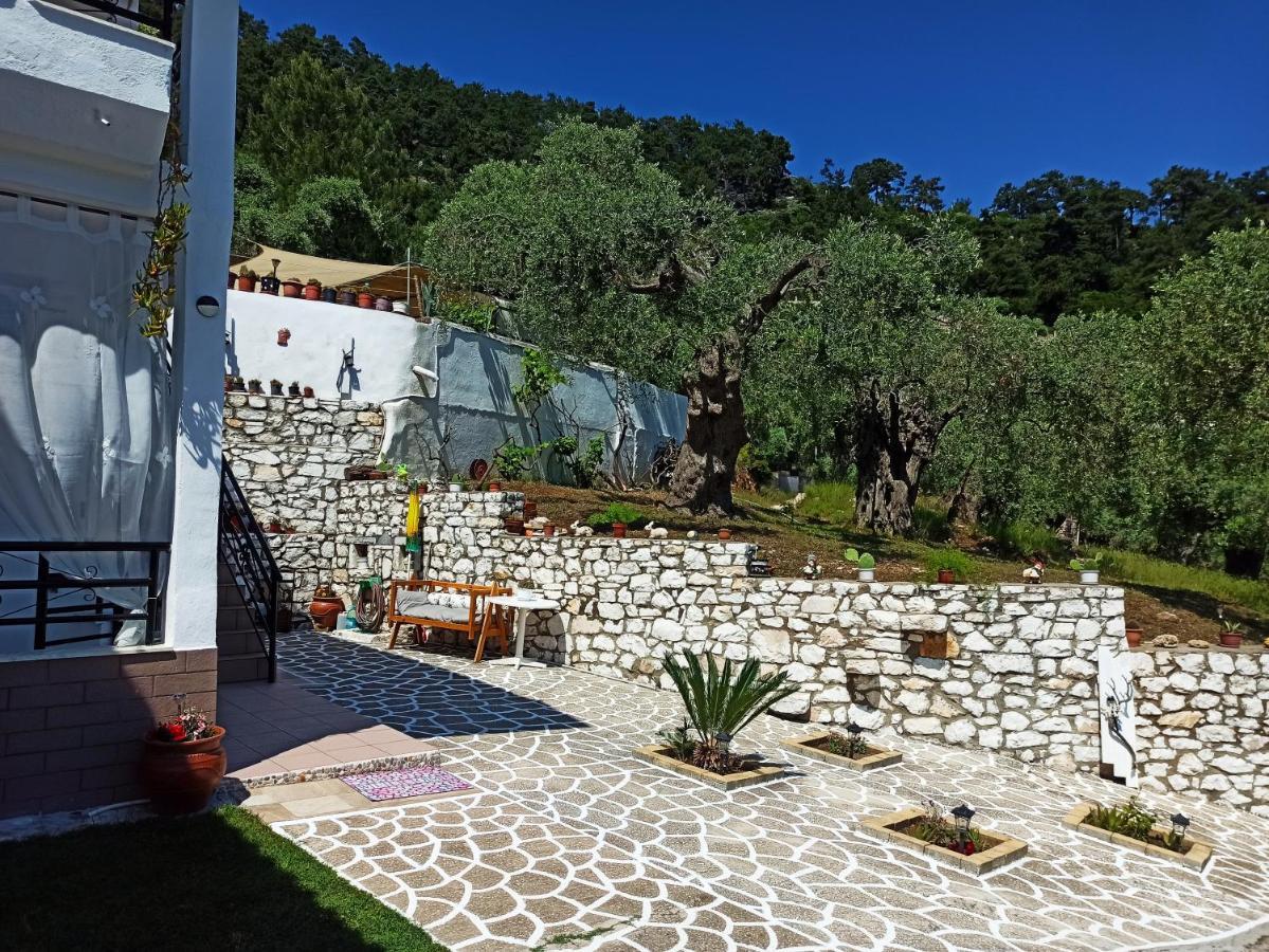 Studios Maria Chrisi Ammoudia Exterior foto